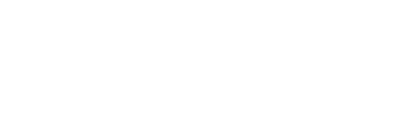Secrecy Evolution Logo Footer